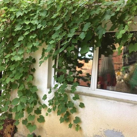 Casa Cu Curte Hotel Brasov Luaran gambar